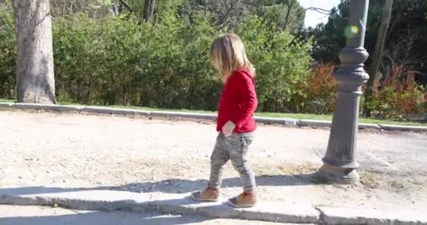 Niño caminando en la acera en el parque — Vídeo de stock