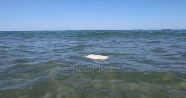 Kunststof jerrycan in de Oceaan en cargo schepen in de horizon — Stockvideo