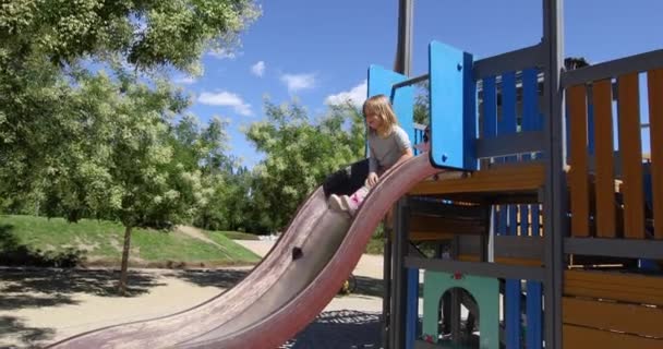 Child going down in double slide — Stock Video