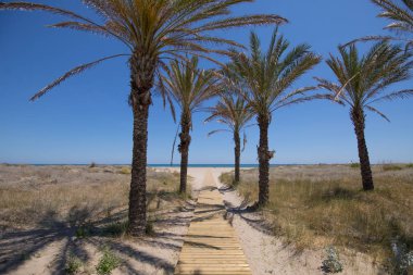 Bir Grao Pine Beach doğru ahşap yürüme yolu