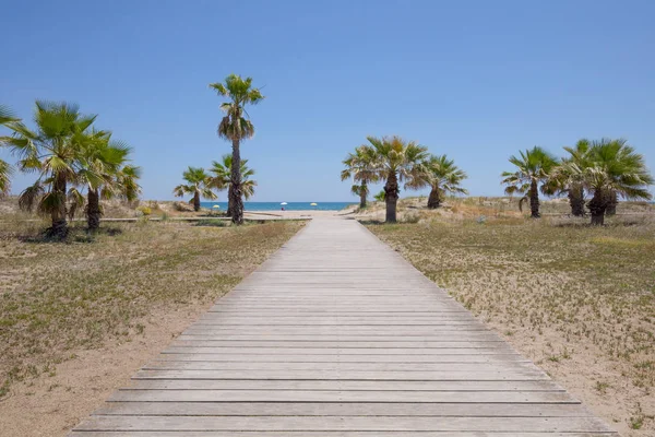 Houten loopbrug naar palmbomen en strand — Stockfoto