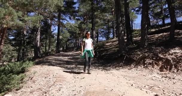 Mujer senderismo en bosque pan tiro — Vídeo de stock