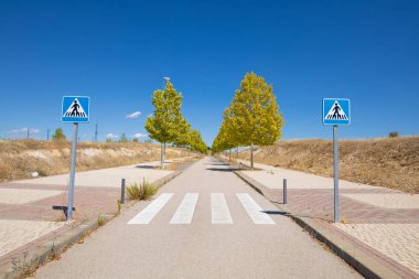 ağaçlar arasında yalnız yolda yaya geçidi
