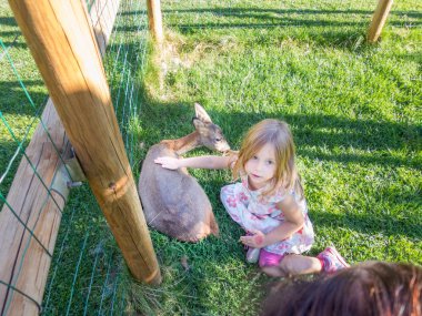 küçük kız bir geyik okşayarak