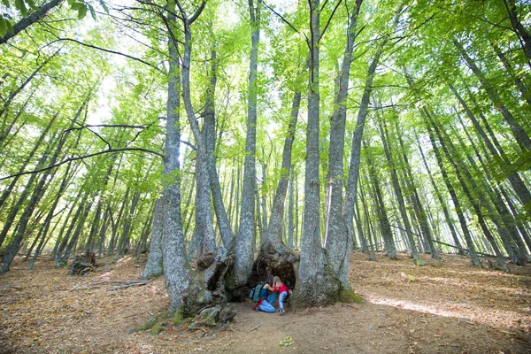 Madre e hijo descubriendo dentro del tronco bajo un grupo de pecho — Foto de Stock
