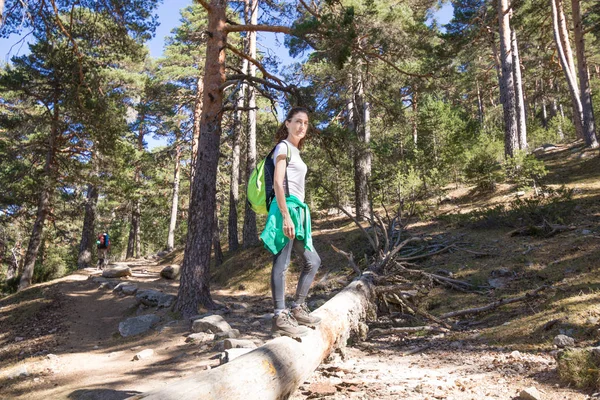 Mujer excursionista posando en un gran tronco acostado en el bosque —  Fotos de Stock