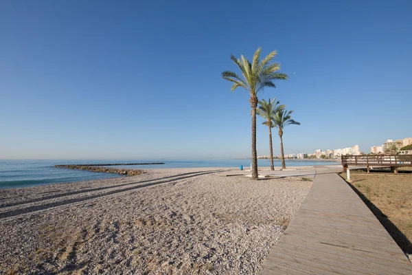 Beach in Benicassim with wooden walkway and palm trees — Stock Photo, Image