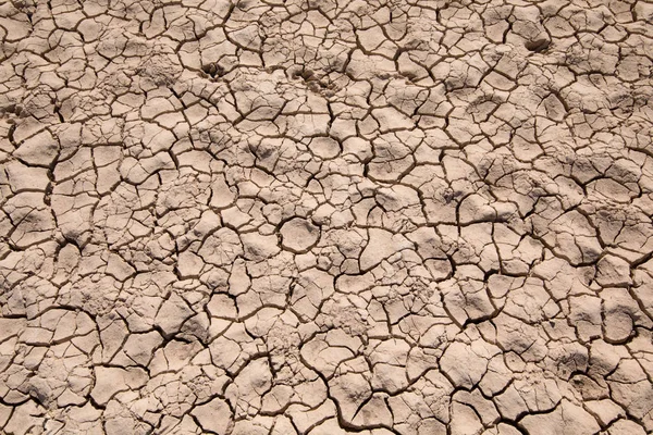 Dettaglio terreno siccità — Foto Stock