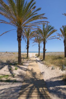 ahşap geçit Pine Beach Grao dikey doğru