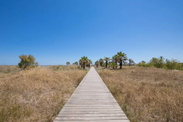 Houten wandelpad in de natuur naar palmbomen — Stockfoto