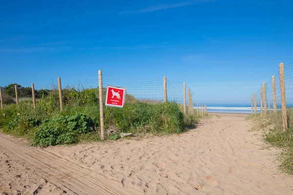Знак заборонено собак Астурії Вега пляж — стокове фото