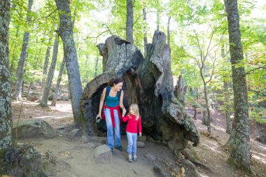 çocuk ve anne büyük bir eski kestane sandık içinde