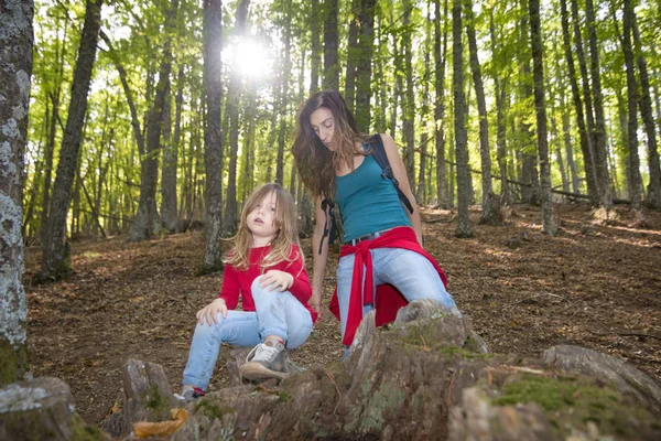 Anne ve çocuk kestane ağaçları ormanda sonbaharda dinlenme — Stok fotoğraf