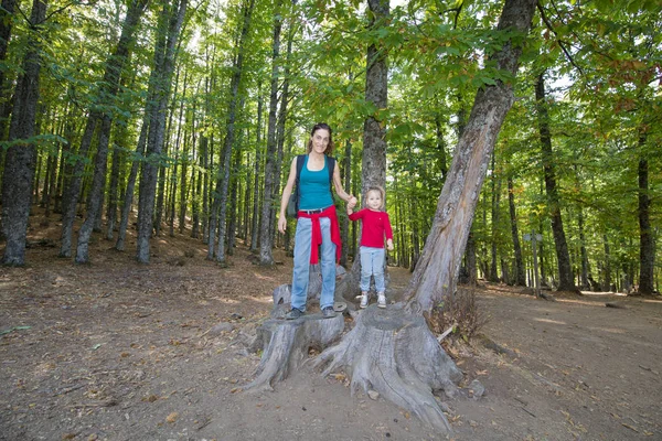 Mutter und Kind posieren auf abgesägtem Stamm im Kastanienwald Stockbild