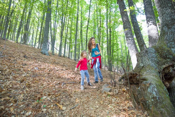 Mutter und Kind spazieren im Herbst im Kastanienwald Stockfoto