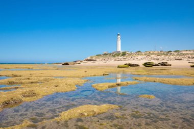 low tide in Trafalgar Cape with rocky seaside and lighthouse ref
