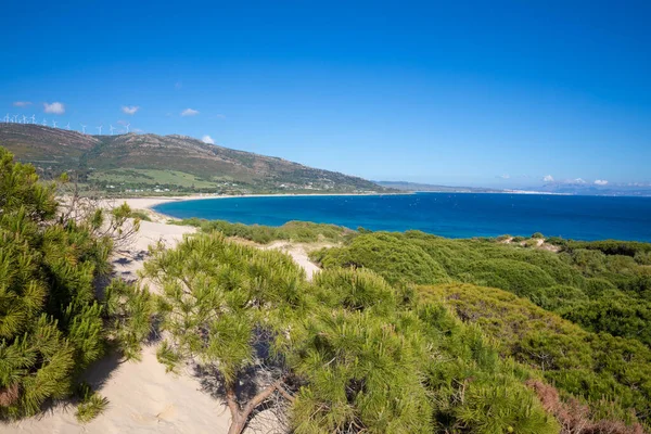 Landscape of Valdevaqueros Beach and Tarifa from the forest — Stockfoto
