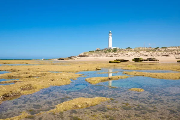 Low tide in Trafalgar Cape with rocky seaside and lighthouse ref — Stockfoto