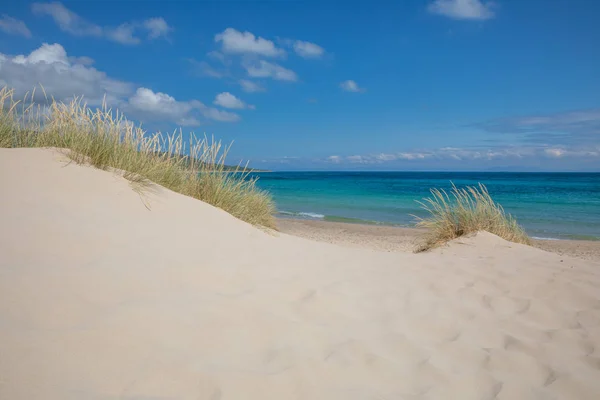 Písečné duny s rostlinami a Atlantický oceán na pláži Cádiz — Stock fotografie