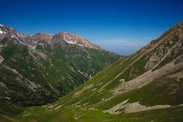 Verde valle de montaña cubierta de hierba con picos de hielo, Central Tien-Shan , — Foto de Stock