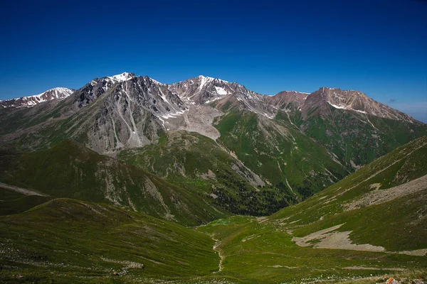 中央天山、氷のピークと緑の草で覆われた山谷, — ストック写真