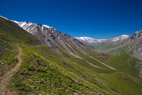 Green grassy mountain valley with ice peaks, Central Tien-Shan, — Stock Photo, Image