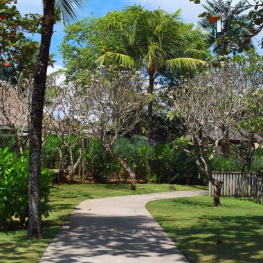 Bali, Endonezya yolu plaj