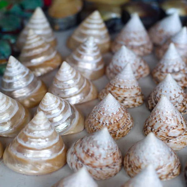 Seashells for sale on a beach in Bali to attract tourists lookin — Stock Photo, Image