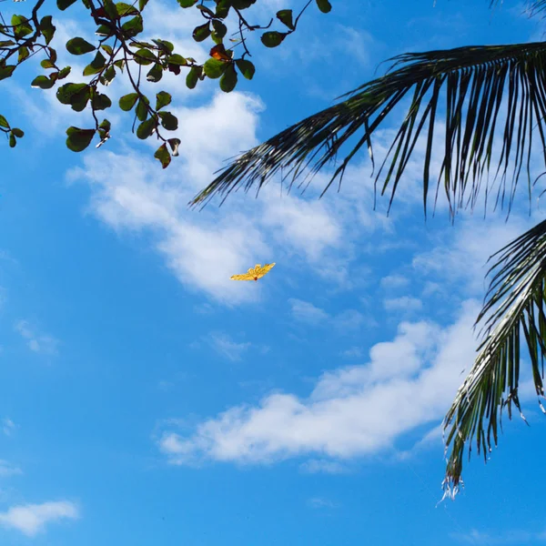 Island Bali, kite in the form of a bird — Stock Photo, Image