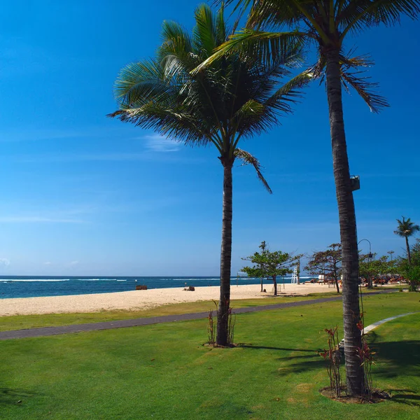 Tropikalna Plaża Nusa Dua Bali Indonezja — Zdjęcie stockowe