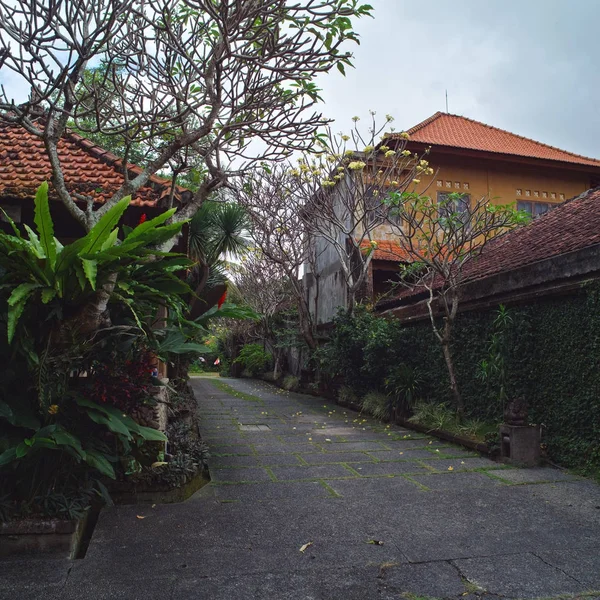 巴厘岛 印度尼西亚 有传统建筑的乡村街道 — 图库照片