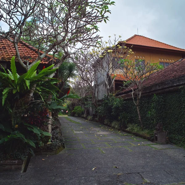 Bali Indonesia Jalan Pedesaan Dengan Bangunan Tradisional — Stok Foto