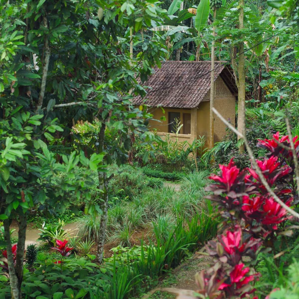 Vila Tropis Alam — Stok Foto