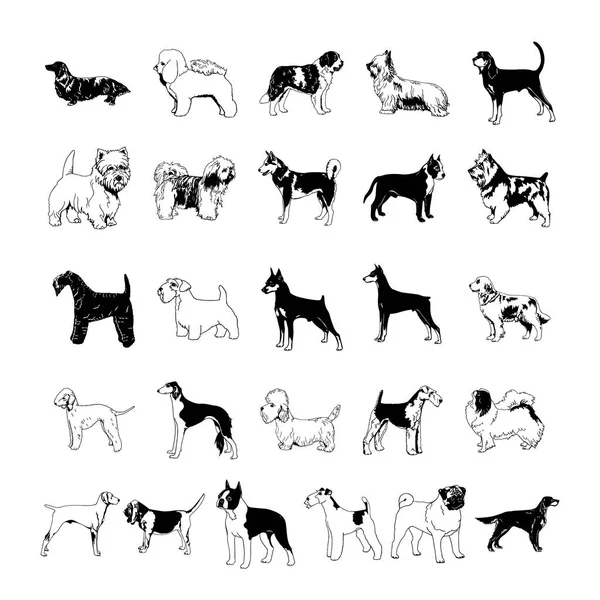 Cão clipart cartoon. Ilustração vetorial — Vetor de Stock