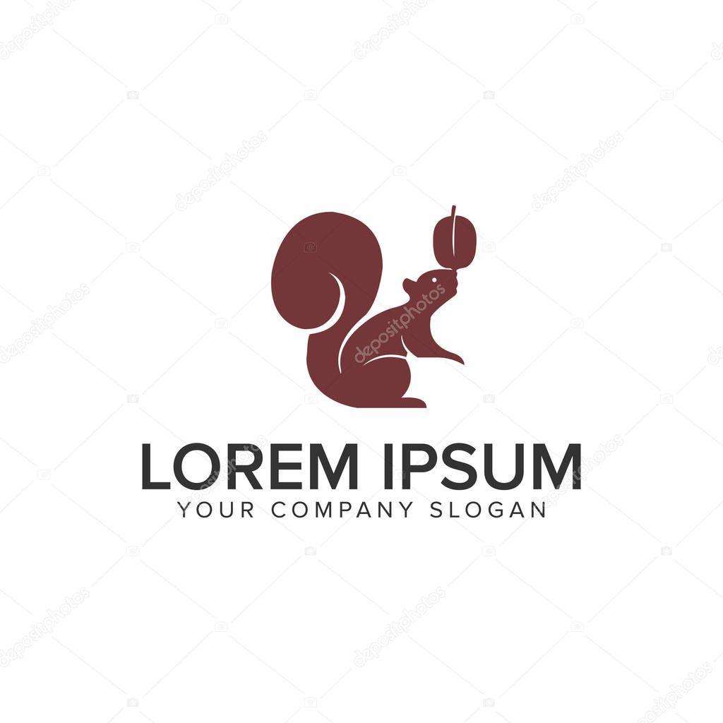 Squirrel and nut design concept template. fully editable vector