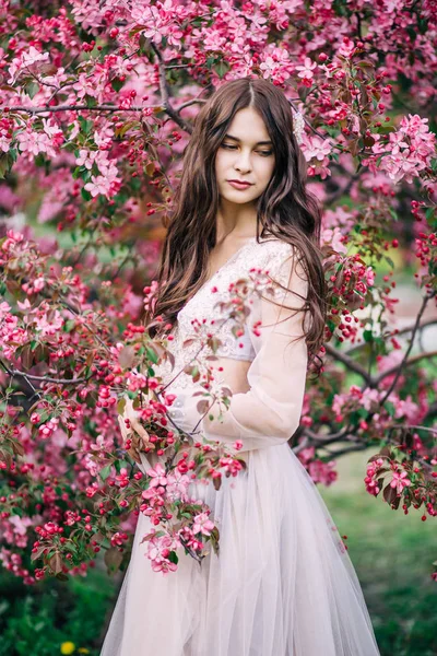 Belle fille brune mignonne aux cheveux longs, mariée en dentelle robe de boudoir transparent, décoration, près de l'arbre fleurit avec des fleurs, regarde vers le bas — Photo