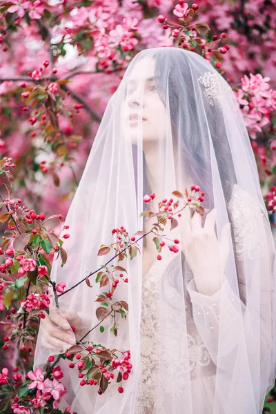 Una bella sposa, ragazza sotto il velo in rosa Sakura — Foto Stock