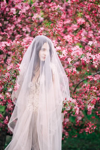 Çok güzel bir kız gelin duvak altında bej düğün elbise Sakura ağacı yakınındaki aşağı bakıyor, — Stok fotoğraf