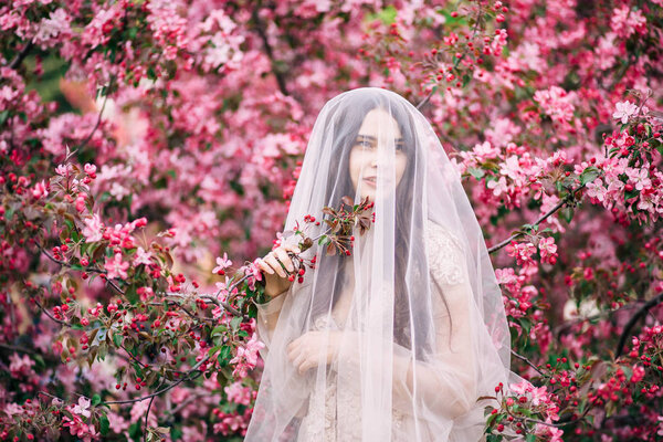 Very beautiful girl the bride under a veil, beige wedding dress near the tree Sakura, nature