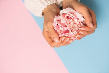 Manikürlü güzel kadın tırnakları