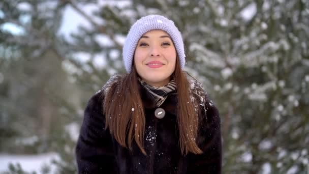 Christmas Girl.Winter woman — Stock Video