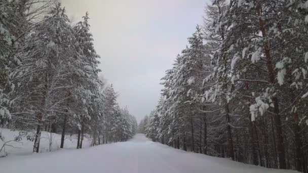 Bella natura invernale innevata — Video Stock