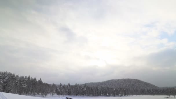Bella natura invernale innevata — Video Stock