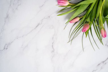 Bahar çiçeği pembe laleler