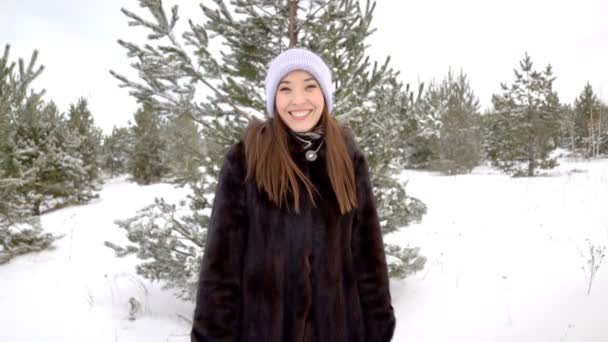 Christmas Girl.Winter woman — Stock Video