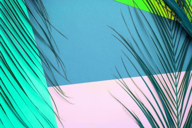 Mavi, pembe, nane, yeşil arkaplan üzerine boyanmış tropikal yaprakların yaratıcı çok renkli düzeni. Yaz, tatil, seyahat konsepti. Düz konum, üst görünüm, boş alan, yaprak çerçevesi.