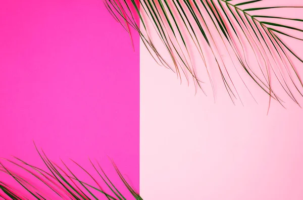 Keret Trópusi Zöld Pálma Levelek Fényes Rózsaszín Halvány Rózsaszín Háttér — Stock Fotó