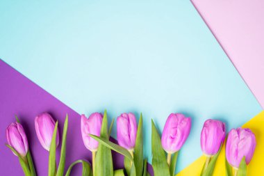 Renkli parlak kağıtlarda pembe laleler olan metin için güzel bahar arkaplanı