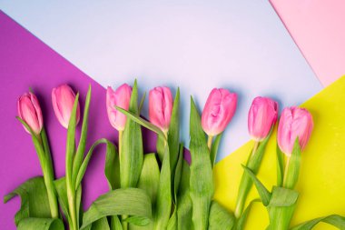 Çok renkli arka planlarda kırmızı lalelerle güzel bir bahar arkaplanı, üst manzara, yakın çekim