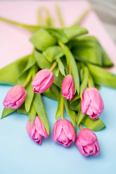 Closeup Beautiful Bright Pink Tulips Multicolored Paper Background Spring Flowers Stock Picture